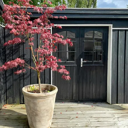 Near Tisvilde Forest And Rhubarb Farm Feriehus